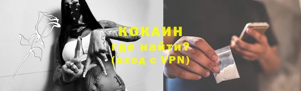 PSILOCYBIN Новодвинск