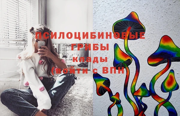 мескалин Новозыбков