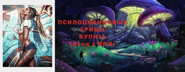 мескалин Новозыбков