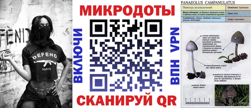 Галлюциногенные грибы MAGIC MUSHROOMS  Купить закладки  Снежногорск